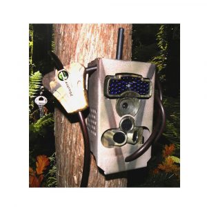 Lovačka GSM kamera LTL ACORN 5310WMG